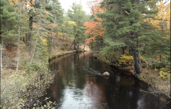 🏞️ 10 Acres on Lake Superior Trail – Rare Wilderness Gem! 🌲