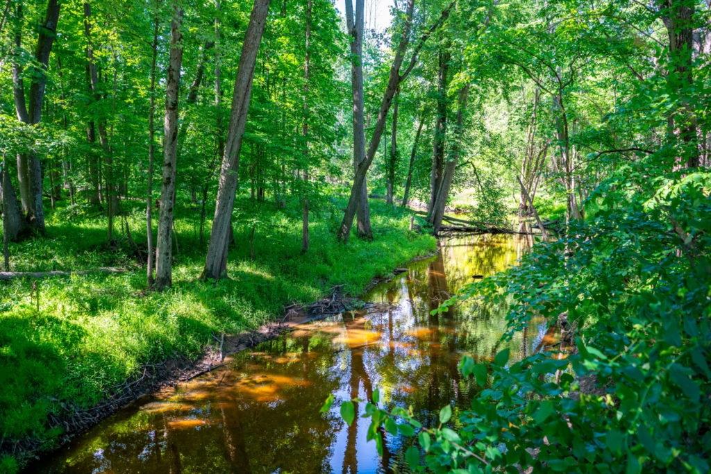 10.05-Acre Creekside Property in Central Michigan – Legacy Acres