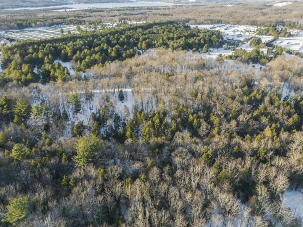 Legacy Acres Alpacas